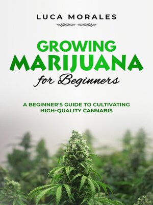 cover image of Growing Marijuana for Beginners